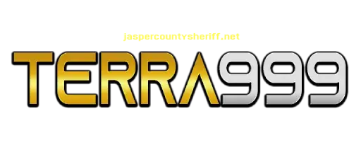 Terra999 logo