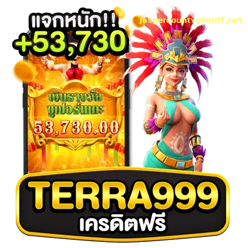 ทาง เข้าterra